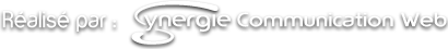 Réalisation Synergie Communication Web