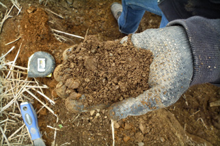 recherche ferticonseil